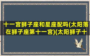 十一宫狮子座和星座配吗(太阳落在狮子座第十一宫)(太阳狮子十一宫 骰子)